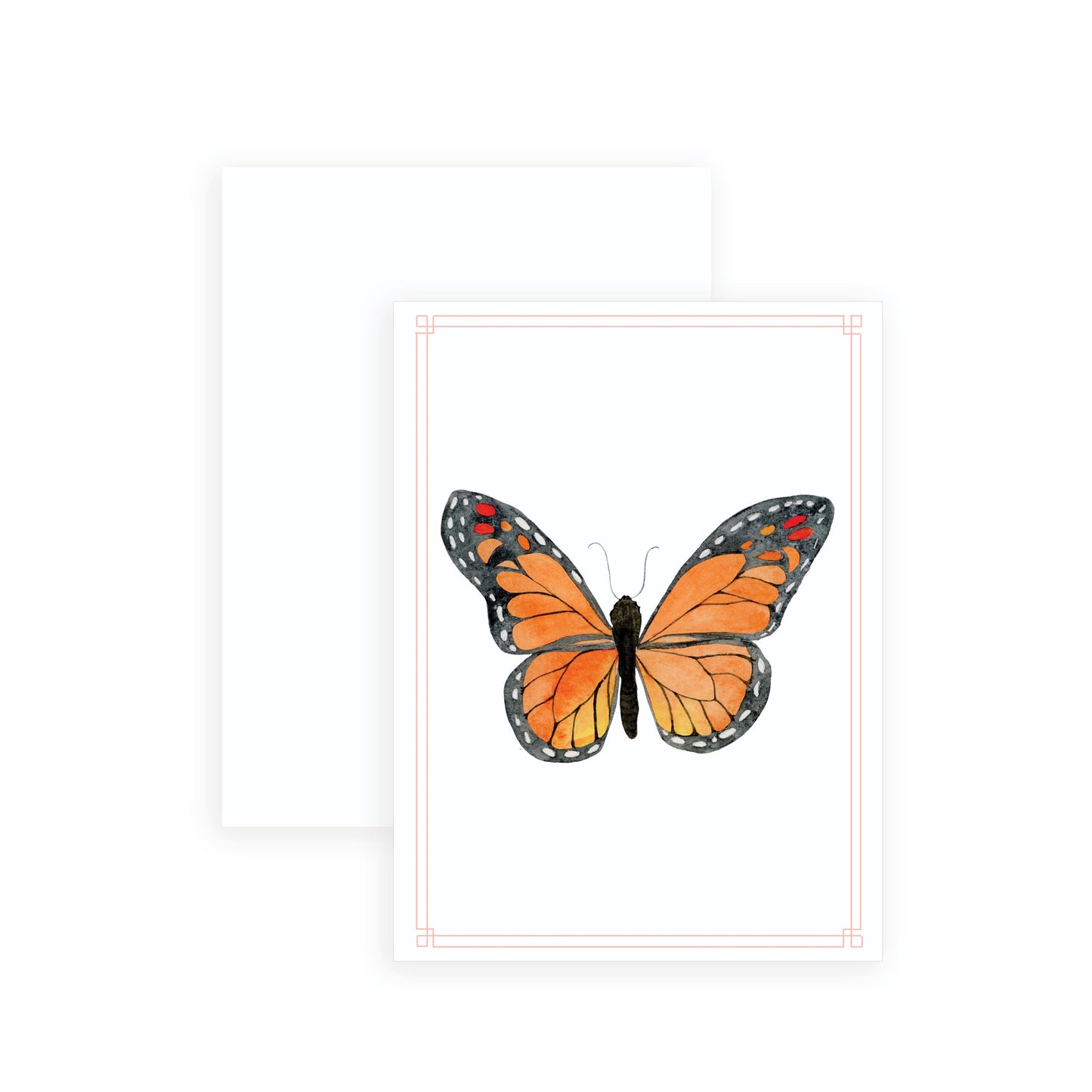 Butterfly Cards