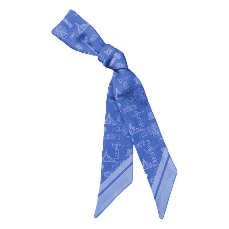Dallas Hometeam Toile Twilly Scarf